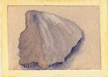 "Gulf Seashell II" by Mary O'Flying, Wausau WI - Watercolor